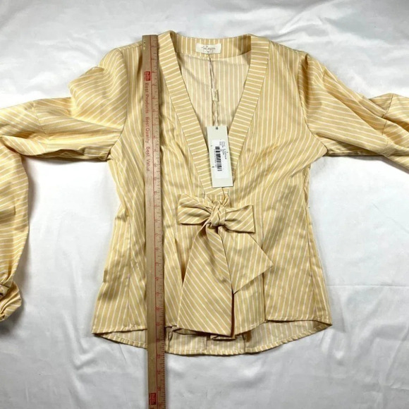 Petersyn Elinor Top NWT Plunging Neckline Long Sleeve Pleated Blouse Size XS - Picture 13 of 14